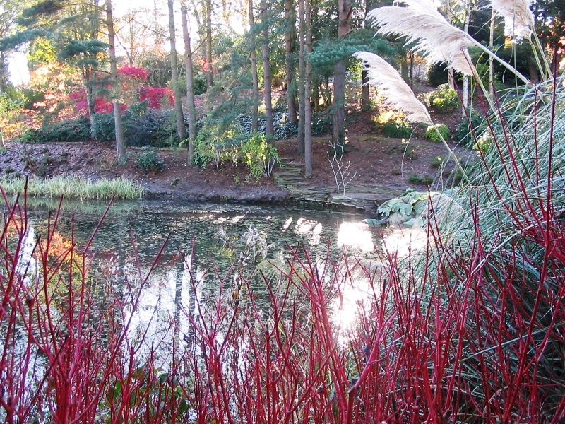 Dingle Nurseries & Garden